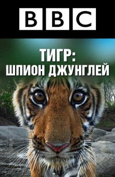 BBC: Тигр - Шпион джунглей
